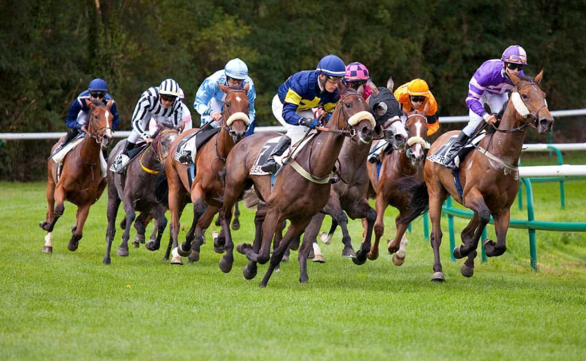 How Horses Build Mental Toughness