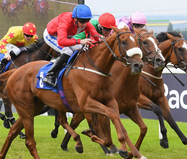 How Horses Handle Crowded Races