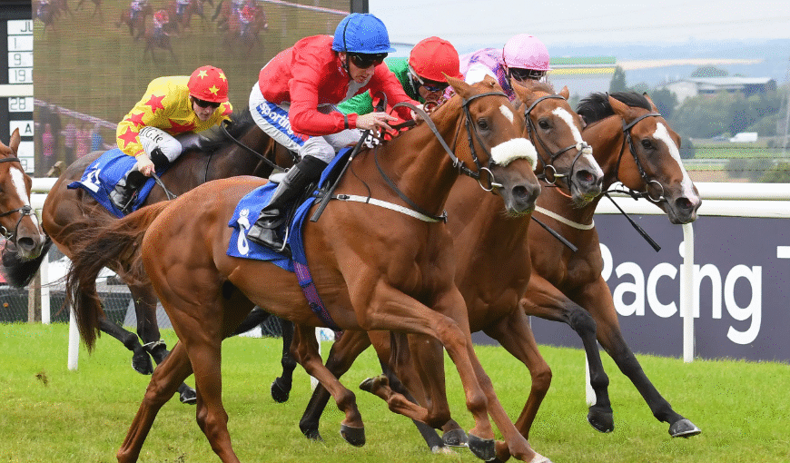 How Horses Handle Crowded Races