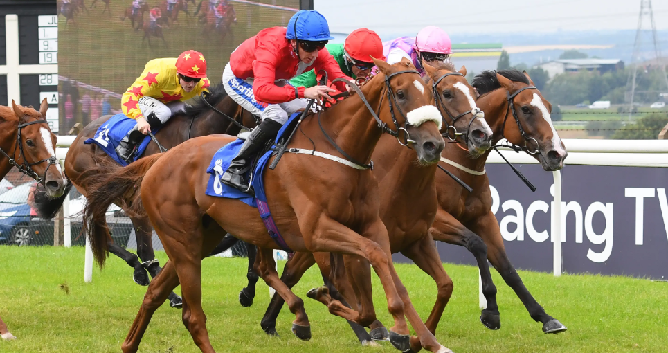 How Horses Handle Crowded Races