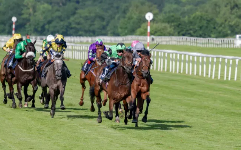 How Horses Learn Racing Patterns
