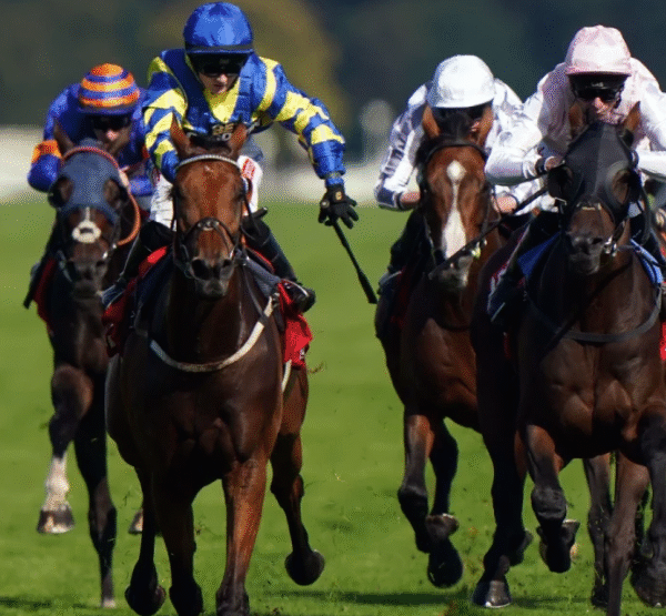 How Horses Build Core Strength