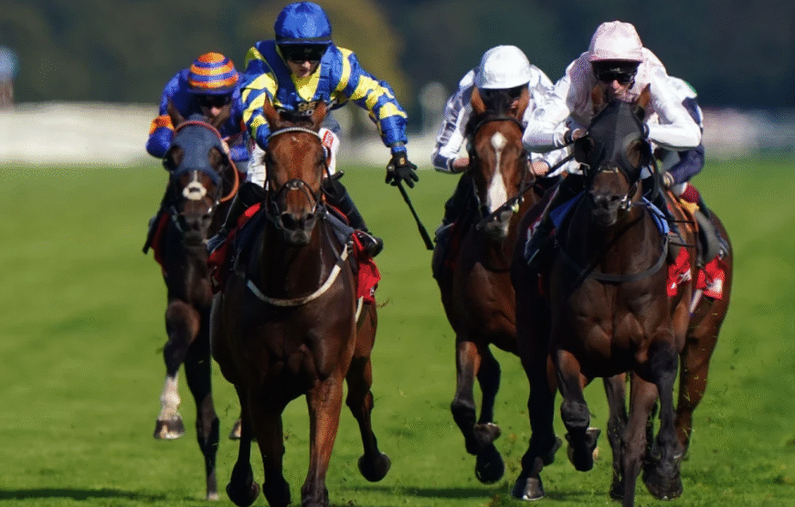 How Horses Build Core Strength