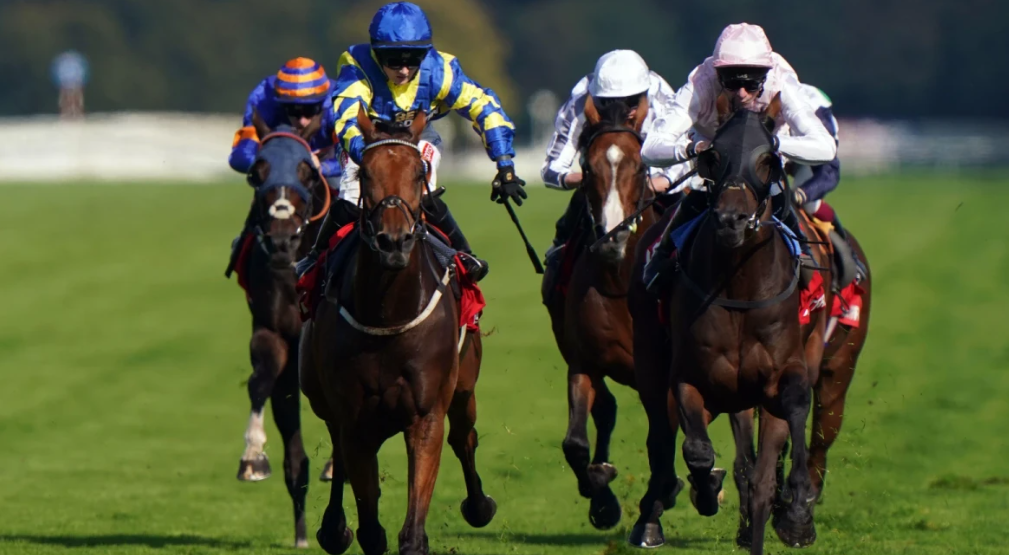 How Horses Build Core Strength