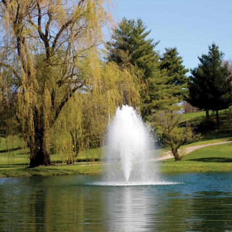 Fountain Pond Ideas Bring More Personality to Gardens, Estates, and Outdoor Gathering Spaces