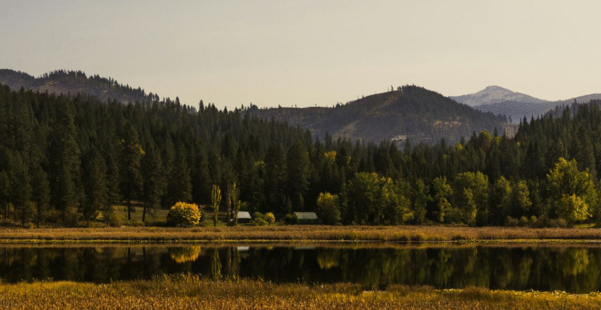 NAEGELI Deposition & Trial Bridges the Idaho-Washington Border for Coeur d’Alene Court Reporting