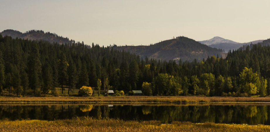 NAEGELI Deposition & Trial Bridges the Idaho-Washington Border for Coeur d’Alene Court Reporting